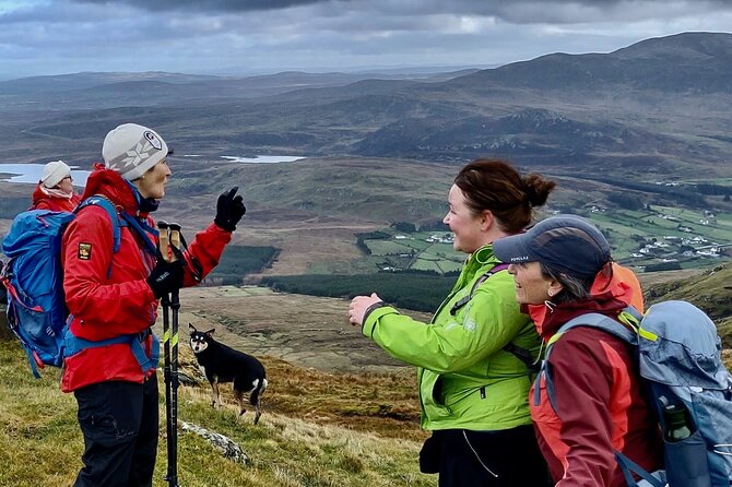Bog Safari Hike - The Wild Atlantic Way from a quieter angle