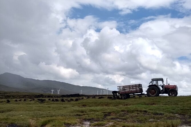 Bog Safari Hike - Fitness, weather, and what to expect underfoot
