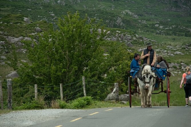 Bus, Boat & Jaunting Cart Tour (Jaunting Cart Paid Separately) - Who should book the Gap of Dunloe tour?