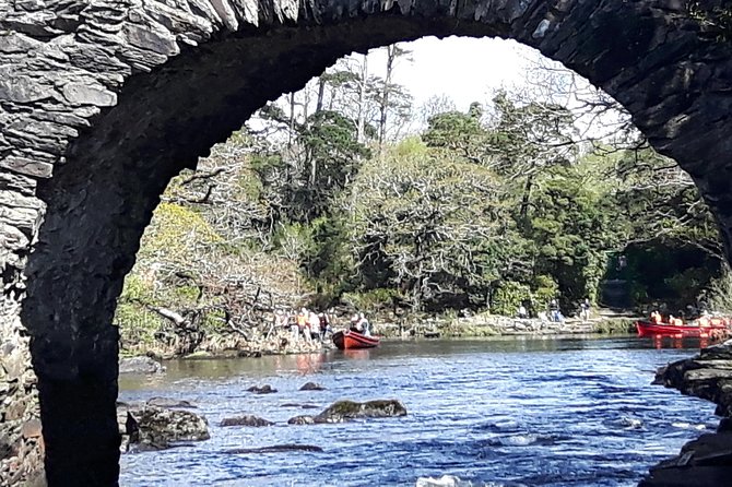 Bus & Boat Tour - Ross Castle and the boat connection