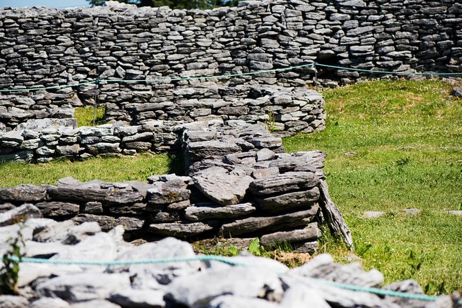Caherconnell Fort & Sheepdog Demonstrations - Who will enjoy Caherconnell most?
