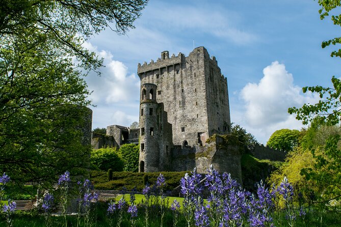 Chauffeur Blarney and Cork Private Day Tour from Dublin - The Rock of Cashel after a 2-hour-15-minute drive
