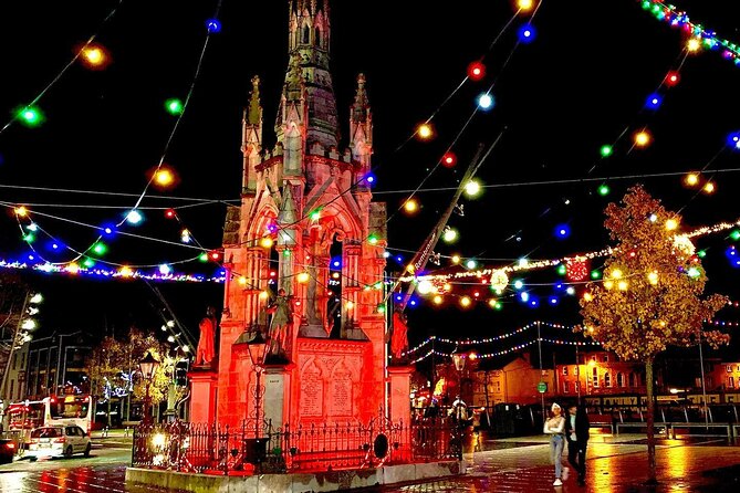 Chauffeur Blarney and Cork Private Day Tour from Dublin - Who will get the most from this experience?