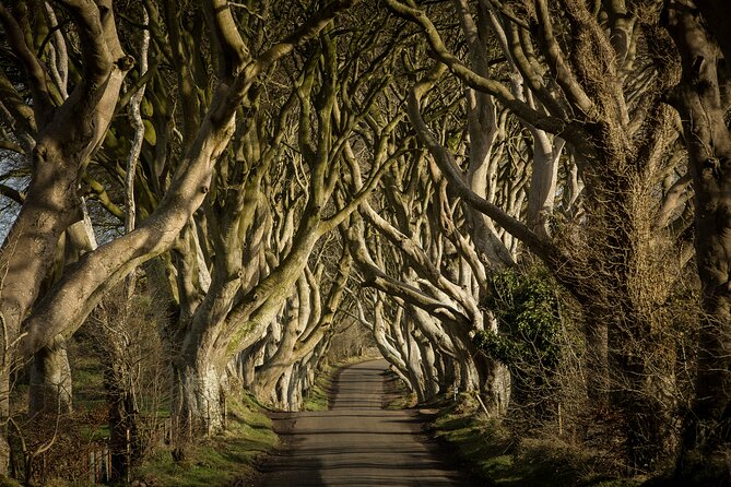Chauffeur Giants Causeway & Belfast Private Day Tour From Dublin - Dunluce Castle in five minutes