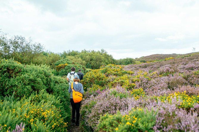 City Explorer: Howth Private Day Trip - Howth Castle and Estate: a calm first stop