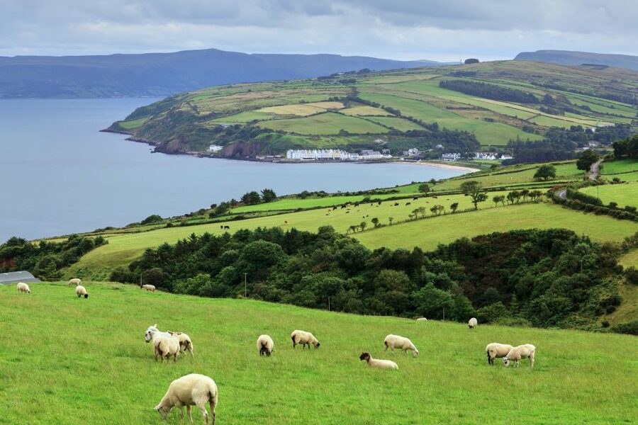 Cliffs of Moher and Blarney 2-Day Tour from Dublin - County Clare and the Burren