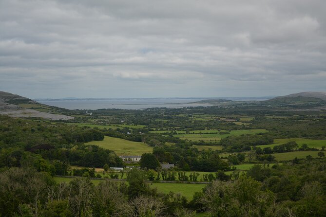 Cliffs of Moher and Burren Private Tour from Galway - What Your Chauffeur Actually Provides