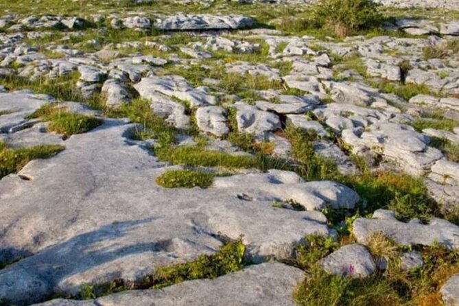 Cliffs of Moher, Burren and Galway 2 Days Private Chauffeur Tour - Bunratty Castle adds a different kind of Clare