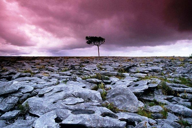 Cliffs of Moher, Burren and Wild Atlantic Way day tour from Galway city - Why this Galway day trip works so well