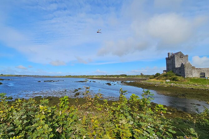 Cliffs of Moher from Dublin Full Day - Private Driver - Guides, personality, and the human side of the day