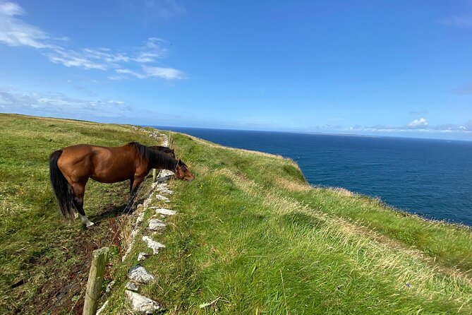Cliffs of Moher Hiking Tour from Galway - Small Group - Why this Cliffs of Moher walk feels different