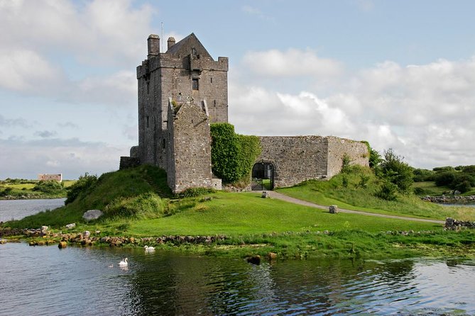 Cliffs of Moher Private Award Winning Luxury Mercedes Car Tour - Caherconnell and its working sheepdogs