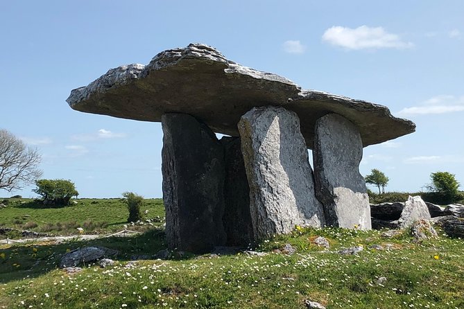 Cliffs of Moher Private Tour from Killarney - The guide is the real advantage