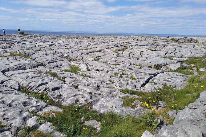 Cliffs of Moher & Sheepdog Demonstrations from Galway - The Burren Coast Road back to Galway
