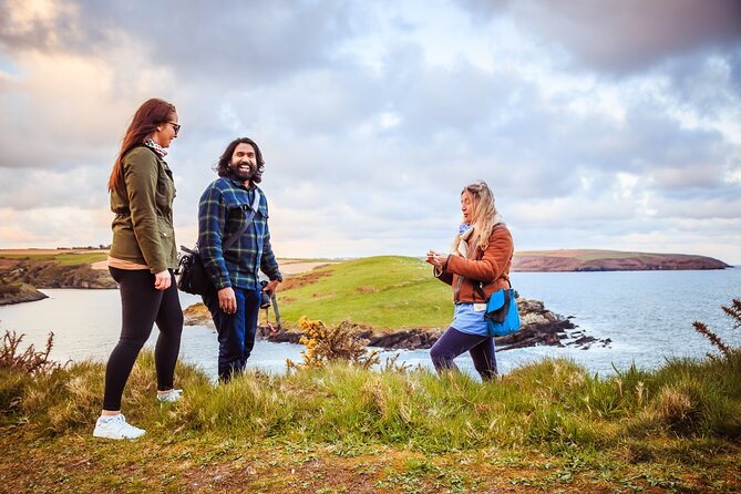 Coastal Foraging and Folklore Tour - Sandycove, where the shoreline becomes the classroom