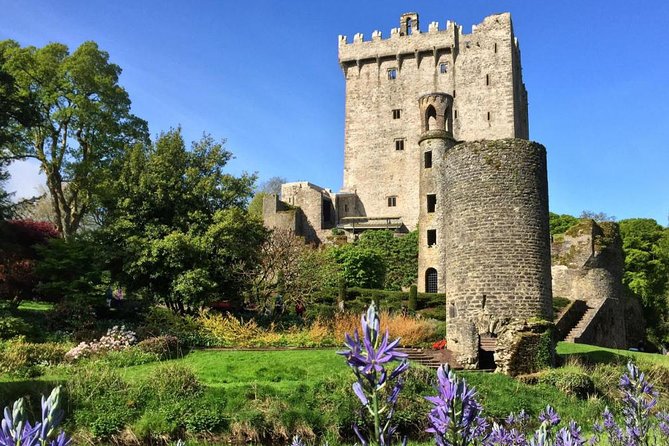 Cobh (Cork) to Blarney Castle & Kinsale - Shore Excursion - Physical demands, mobility, and practical comfort