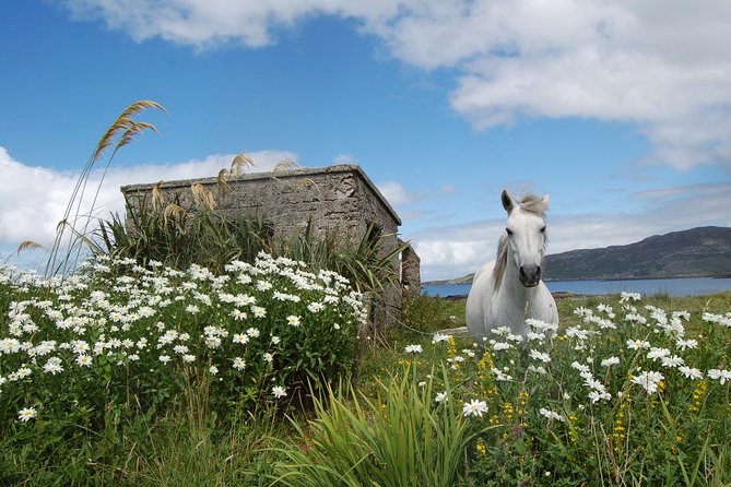 Connemara & Connemara National Park day tour from Galway. Guided. - Leaving Galway for the Connemara coast