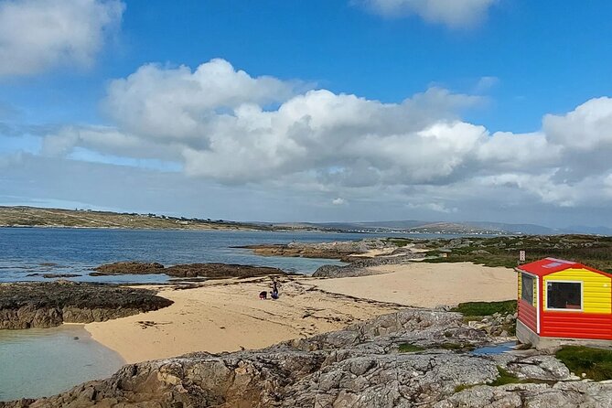 Connemara Sheep Farm experience & Kylemore Abbey by Lux Limousine - Why this private Galway tour works