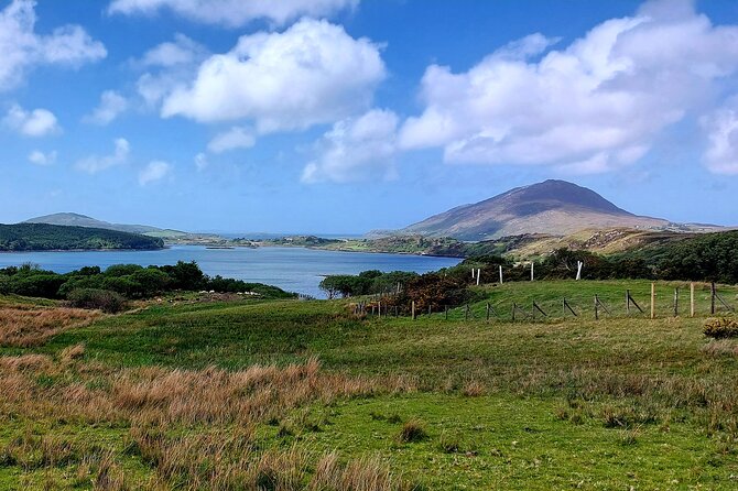 Connemara Sheep Farm experience & Kylemore Abbey by Lux Limousine - Meeting the sheepdogs at Killary Sheep Farm
