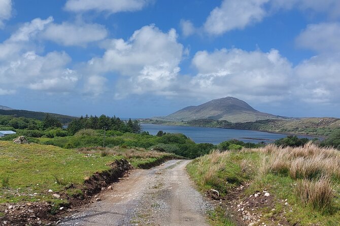 Connemara Sheep Farm experience & Kylemore Abbey by Lux Limousine - Is $901.19 good value for four?