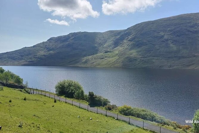 Connemara Sheep Farm experience & Kylemore Abbey by Lux Limousine - Who should book this Connemara day?
