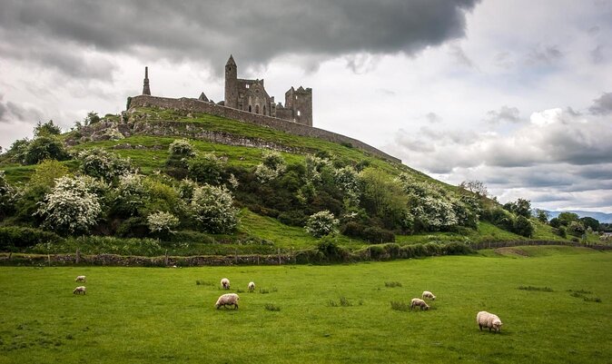 Cork City, Cahir Castle and Rock of Cashel Tour with Spanish Speaking Guide - Key points to know before booking