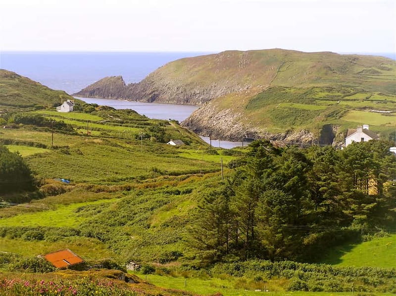 Cork: Fastnet Rock Lighthouse and Cape Clear Island Tour - Choosing Baltimore or Schull as your starting harbor