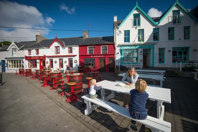 Cork: Fastnet Rock Lighthouse and Cape Clear Island Tour - What the $83 price really covers