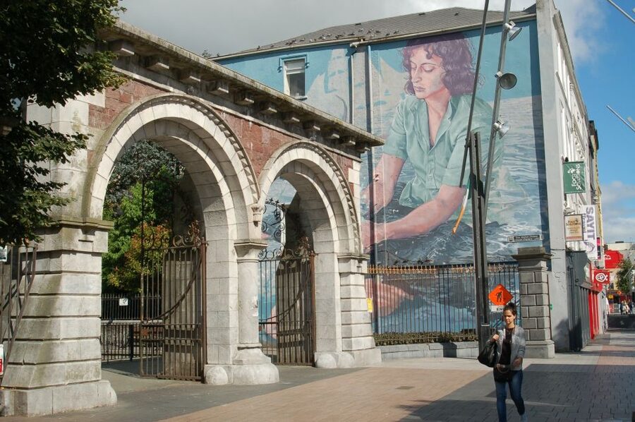 Cork: Guided Historical Walking Tour - St Finbar’s Cathedral and South Gate Bridge