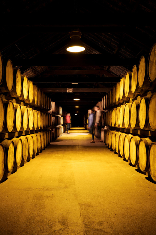 Cork: Midleton Distillery Behind the Scenes Tour & Tasting - What the guide adds to the visit