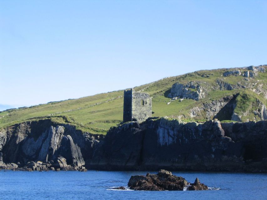 County Cork: Whale & Dolphin Watching Boat Trip - Key points to know before you book