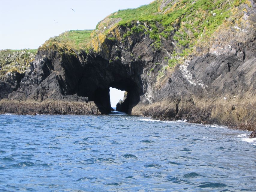 County Cork: Whale & Dolphin Watching Boat Trip - Gerry’s role on the Wave Chieftain