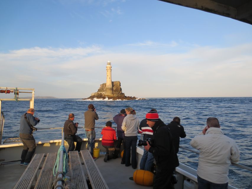 County Cork: Whale & Dolphin Watching Boat Trip - The Wild Atlantic Way from the water