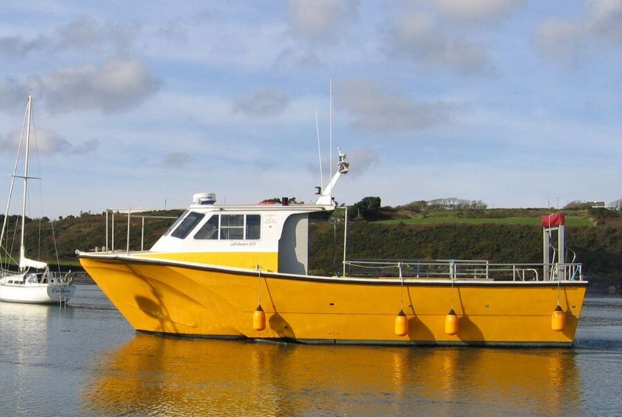 County Cork: Whale & Dolphin Watching Boat Trip - Is $51 a fair price?