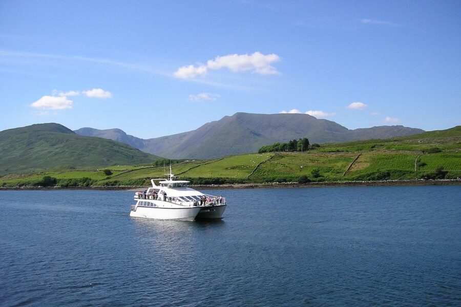 County Galway Killary Fjord 1.5-Hour Sightseeing Cruise - Boarding at Nancy’s Point in Leenane