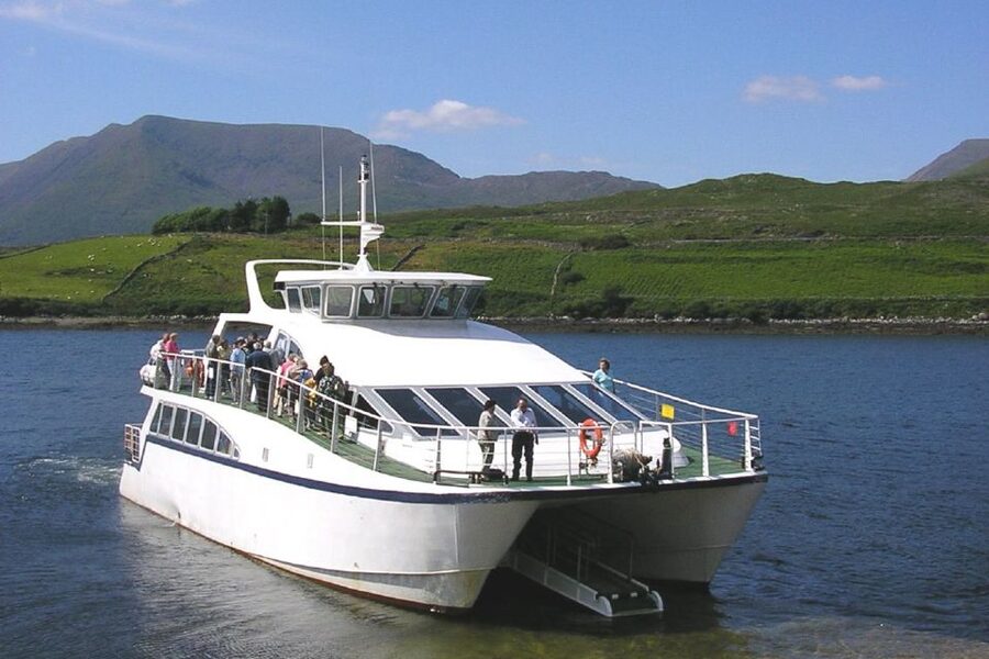 County Galway Killary Fjord 1.5-Hour Sightseeing Cruise - The 90-Minute Cruise Along Killary Fjord