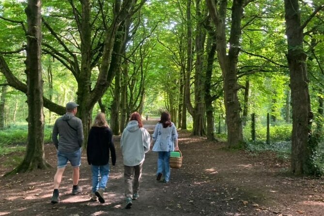 Courtown Woodland Guided Tour - Entering Courtown Woods at 11am