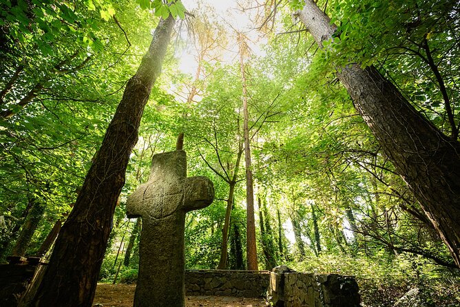 Courtown Woodland Guided Tour - Seeing the wood through Lorraine’s eyes