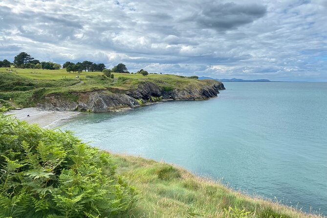 Day Tour from Dublin to Wicklow: Cliffs, Heritage, Wildlife, Gaol - Key points to know before you book
