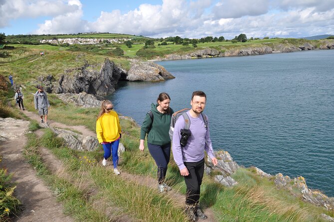 Day Tour from Dublin to Wicklow: Cliffs, Heritage, Wildlife, Gaol - Wicklow Town, from Viking settlement to Norman stronghold