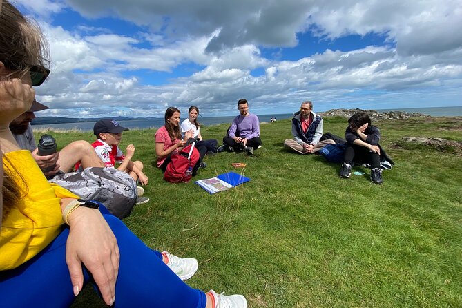 Day Tour from Dublin to Wicklow: Cliffs, Heritage, Wildlife, Gaol - Black Castle and Wicklow Gaol