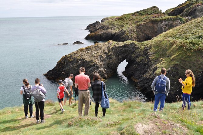 Day Tour from Dublin to Wicklow: Cliffs, Heritage, Wildlife, Gaol - What the private vehicle changes