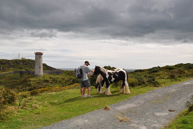 Day Tour from Dublin to Wicklow: Cliffs, Heritage, Wildlife, Gaol - How the guide shapes the day