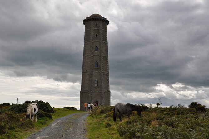 Day Tour from Dublin to Wicklow: Cliffs, Heritage, Wildlife, Gaol - Who will enjoy this Wicklow day trip?