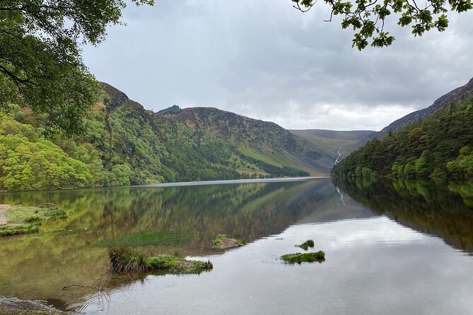 Day Tour from Dublin: Wicklow Mountains, Glendalough, Powerscourt - Leaving Dublin for the Garden of Ireland