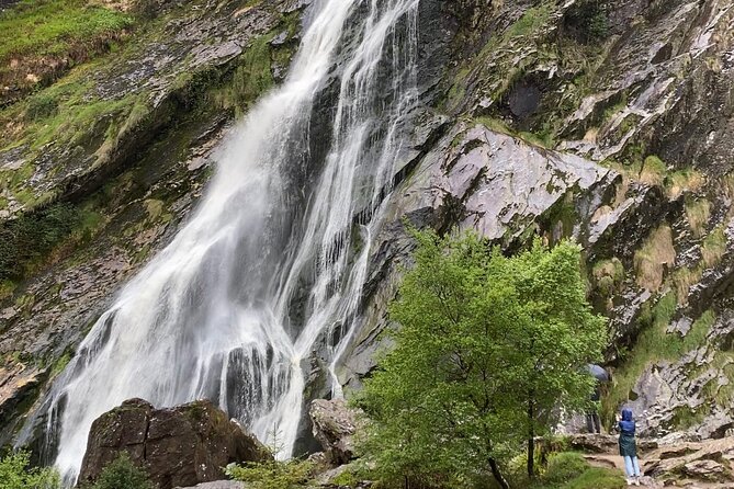 Day Tour from Dublin: Wicklow Mountains, Glendalough, Powerscourt - Lunch near Glendalough
