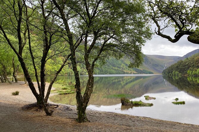 Day Tour from Dublin: Wicklow Mountains, Glendalough, Powerscourt - Powerscourt Gardens and the Sugarloaf view