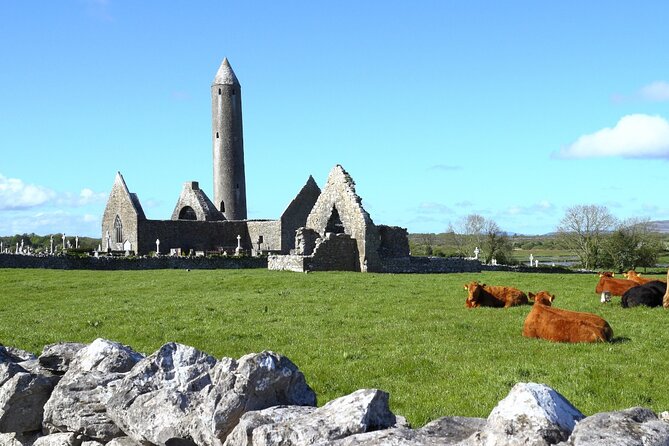 Day trip to Cliffs of Moher & Bunratty Castle and Ennis - Guide style, language, and group organization