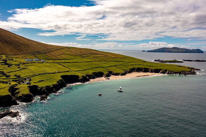 Dingle Dolphin Blasket Adventures - Key points to know before you book