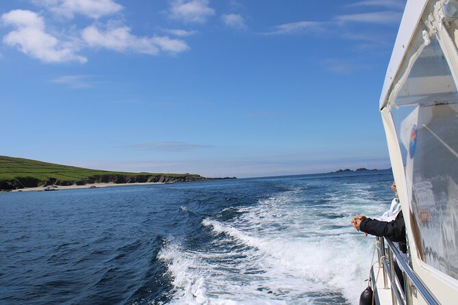 Dingle Dolphin Blasket Adventures - Leaving Dingle Pier for the open bay